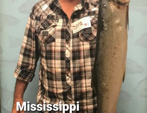 Doug Borries – Lady Fish Mississippi Sate Record